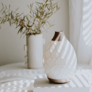 ultrazvočni difuzor