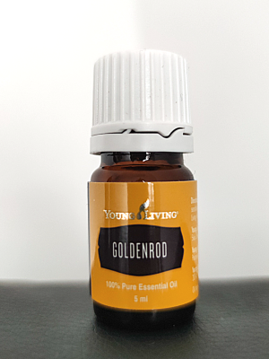 zlata rozga zlata rozga